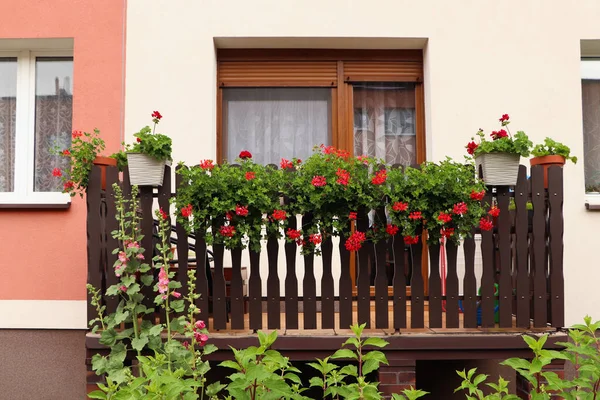 Wooden Balcony Decorated Beautiful Red Flowers — 스톡 사진