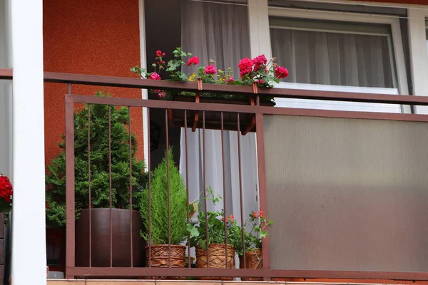 Balkong Dekorerad Med Vackra Blommor Och Gröna Växter — Stockfoto
