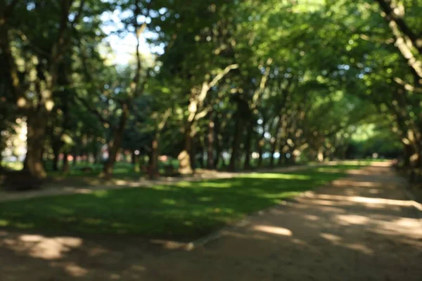 Vue Imprenable Sur Parc Verdoyant Tranquille Par Une Journée Ensoleillée — Photo