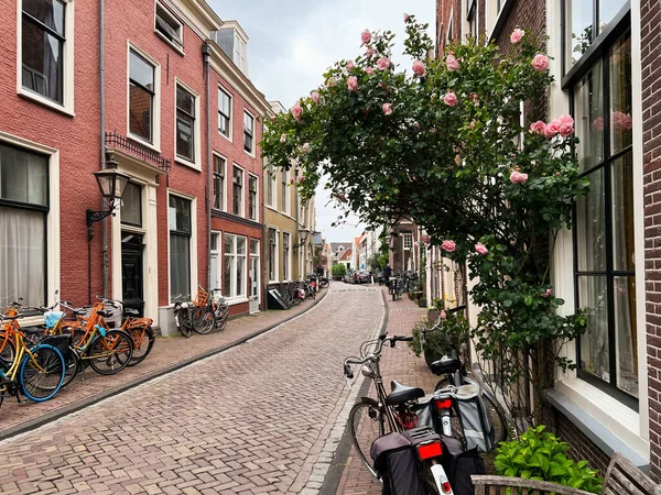Красивий Вид Міську Вулицю Велосипедами Рожевим Кущем Троянд — стокове фото