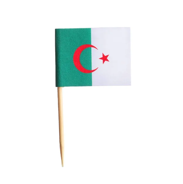 Kleine Papierfahne Algeriens Isoliert Auf Weißem Grund — Stockfoto