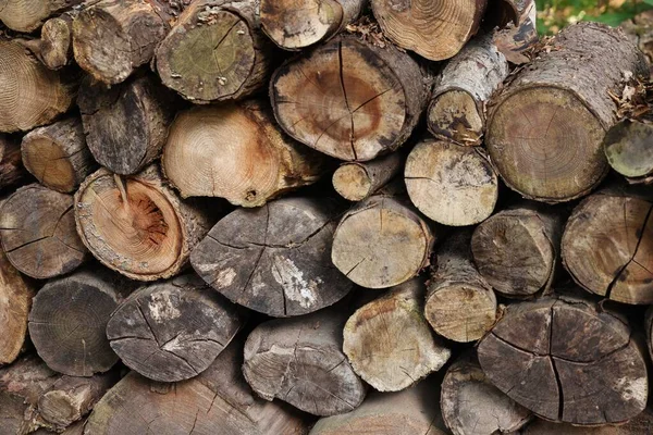 バックグラウンドとして異なるカット木材ログの山 クローズアップ — ストック写真