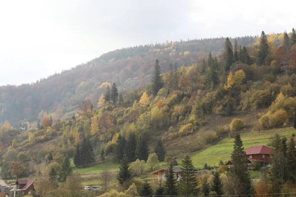 Güzel Orman Dağ Köyü Sonbahar Günü — Stok fotoğraf