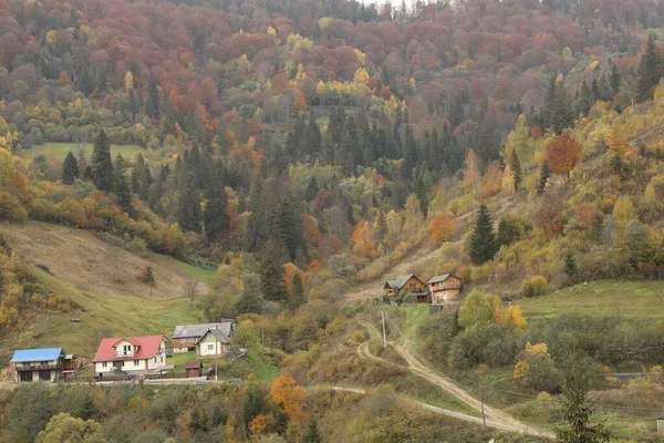Schöne Aussicht Auf Wald Und Bergdorf Herbsttag — Stockfoto