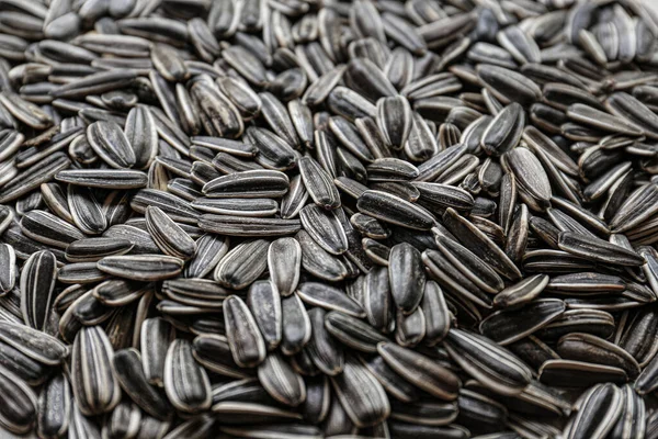 Pile Sunflower Seeds Background Closeup — Stock Photo, Image
