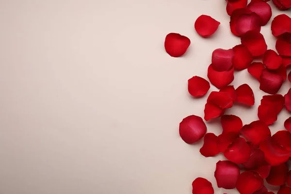 Belles Pétales Fleurs Rose Rouge Sur Fond Beige Plat Espace — Photo