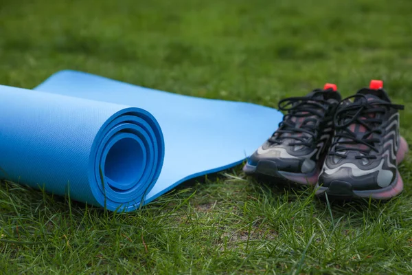 Mavi Karemat Spor Paspası Yeşil Çimlerin Üzerinde Spor Ayakkabıları — Stok fotoğraf