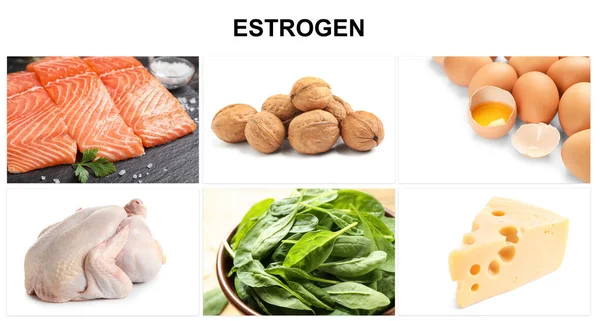 stock image Different foods rich in estrogen that can help you stay feminine. Different tasty products on white background