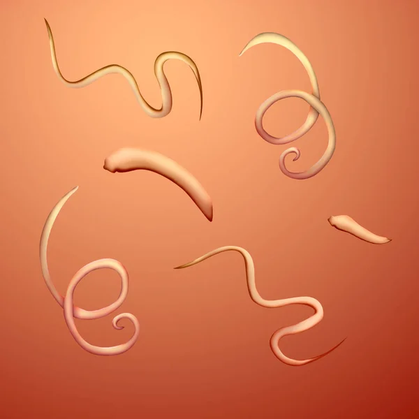 Illustration Von Helminthen Auf Farbigem Hintergrund Parasiten Menschlichen Körper — Stockfoto