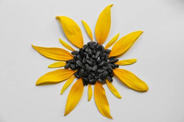 Beyaz zemin üzerinde taç yaprakları ve ayçekirdeği içeren düz bir bileşim yatıyordu