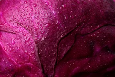 Fresh ripe red cabbage with water drops as background, closeup
