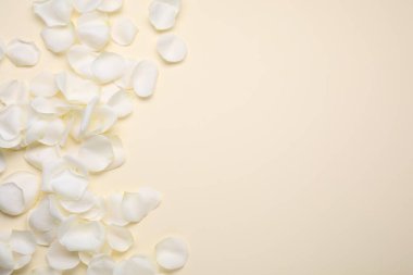 Bej arka planda güzel beyaz gül yaprakları, düz uzanmış. Metin için boşluk