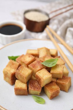 Lezzetli kızarmış tofu ve fesleğen tabağı, yakın plan.