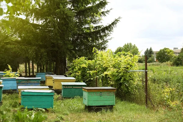 Many Colorful Bee Hives Apiary Outdoors — Stock Photo, Image
