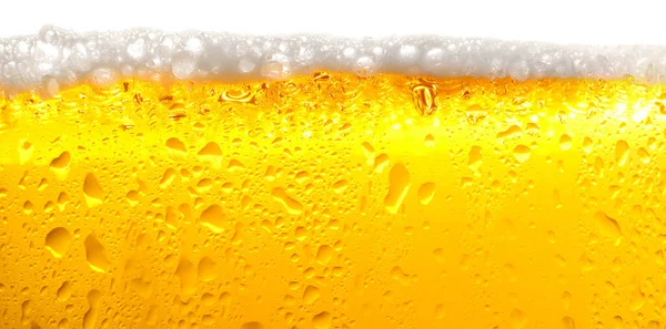 Glass Tasty Cold Beer Foam Condensation Drops White Background Closeup — Stock fotografie
