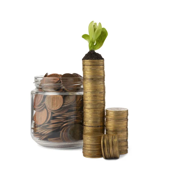Банка Монеты Зеленое Растение Белом Фоне Концепция Инвестиций — стоковое фото