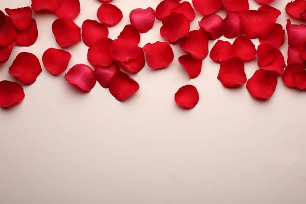 ベージュ地に美しい赤いバラの花びら フラットレイアウト テキストのスペース — ストック写真