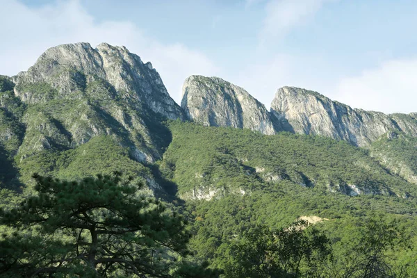 Живописный Вид Высокие Горы Деревья — стоковое фото