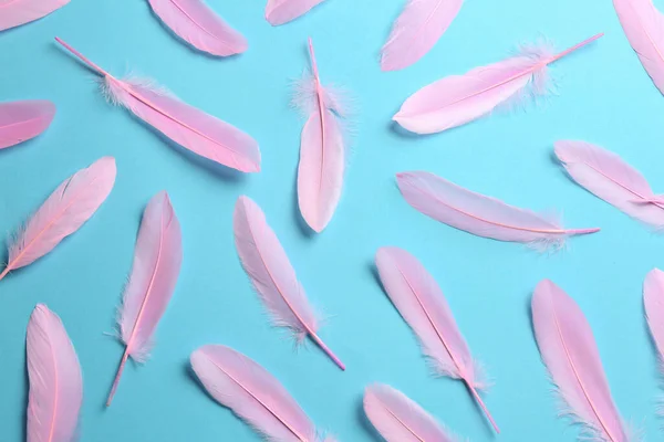 stock image Beautiful pink feathers on light blue background, flat lay