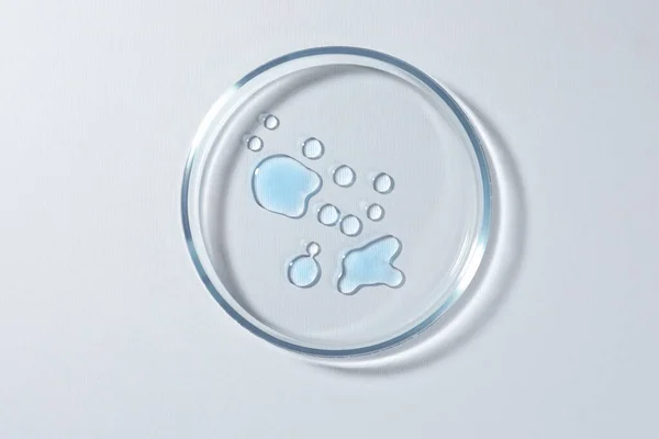Πιάτο Petri Χρωματικό Υγρό Λευκό Φόντο Κορυφαία Προβολή — Φωτογραφία Αρχείου