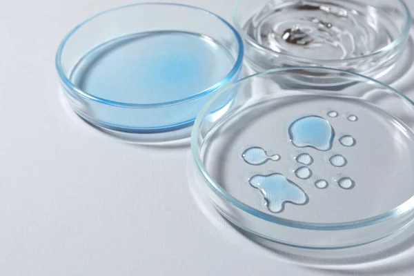 Petri Πιάτα Υγρά Χρώμα Λευκό Φόντο Closeup — Φωτογραφία Αρχείου