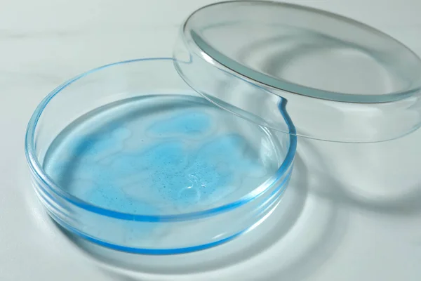 Petri Dish Liquid Lid White Marble Table Closeup — Stock Photo, Image