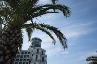 BATUMI, GEORGIA - JUNE 10, 2022: Sea Towers Suit hotel and palm tree against blue sky, low angle view