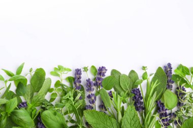 Many different aromatic herbs on white background, flat lay. Space for text