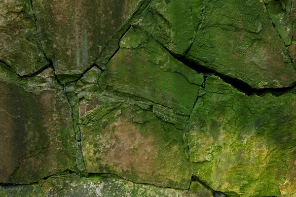 Kamenná Stěna Zarostlá Zeleným Mechem Venku Detailní Záběr — Stock fotografie