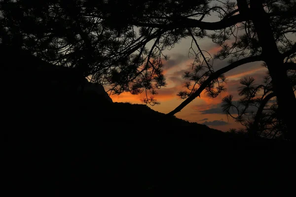 Мальовничий Вид Великий Пагорб Дерево Красивому Заході Сонця — стокове фото