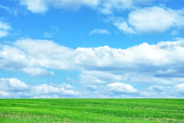Vackert Grönt Fält Blå Himmel Med Moln — Stockfoto