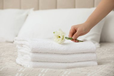 Woman putting Eustoma flower on folded towels in bedroom, closeup