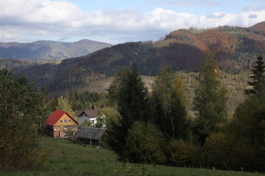 Dağlardaki ev ve ağaçların resimli görüntüsü