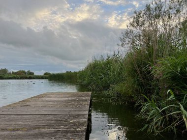 Nehir sazlıklarının ve bulutlu gökyüzünün resimli görüntüsü