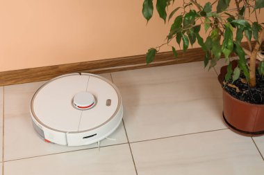 Robot elektrik süpürgesi ve ev bitkisinin yanında düşmüş sarı yapraklar.
