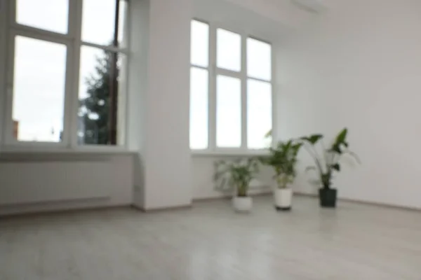 Verschwommener Blick Auf Renoviertes Zimmer Mit Topfpflanzen Und Fenstern — Stockfoto