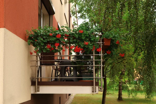Balcón Decorado Con Hermosas Flores Rojas Muebles — Foto de Stock
