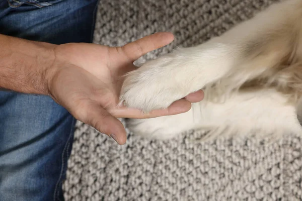 Man Met Hondenpoot Deken Bovenaanzicht — Stockfoto