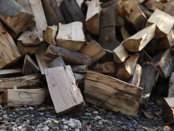 屋外の地面に乾いた薪の山 — ストック写真