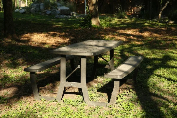 Κενό Ξύλινο Τραπέζι Πικ Νικ Παγκάκια Στο Πάρκο Την Ηλιόλουστη — Φωτογραφία Αρχείου