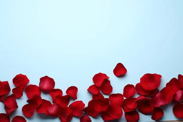 Hermosos Pétalos Flor Rosa Roja Sobre Fondo Azul Claro Posición —  Fotos de Stock