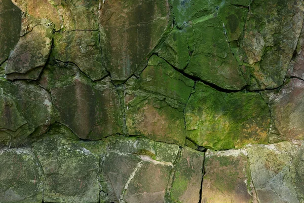 Stone Wall Overgrown Green Moss Outdoors — Fotografia de Stock