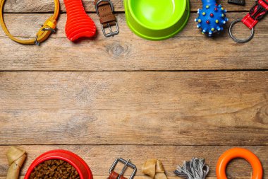 Köpek tasması, oyuncaklar ve kaseyle ahşap masaya dizilmiş düz bir kompozisyon. Metin için boşluk