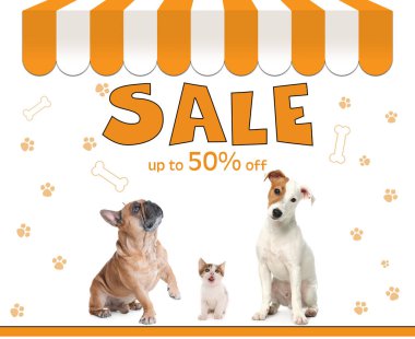 Reklam posteri, Pet Shop SALE. Beyaz arka planda sevimli köpekler ve kedi yavrusu.