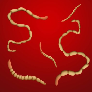 Helminth 'lerin renk arkaplanındaki yansıması. İnsan vücudundaki parazitler