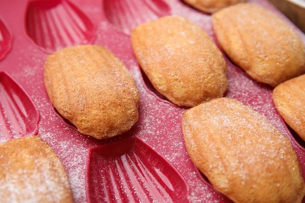 Delicious Madeleine Cookies Baking Mold Closeup — Stock Photo, Image