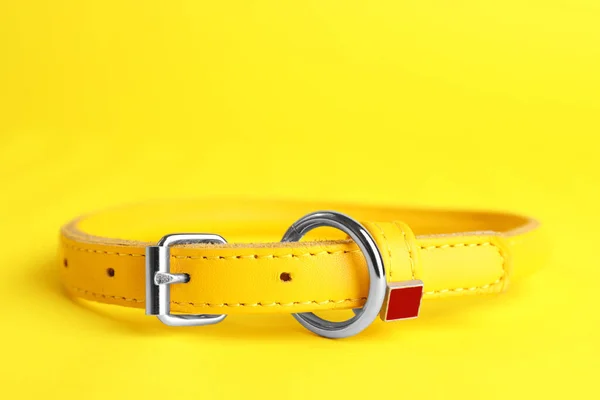 黄色の背景に革の犬の襟 クローズアップ テキストのスペース — ストック写真
