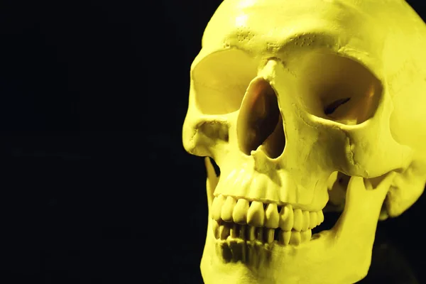 Crânio Humano Amarelo Sobre Fundo Preto Close Espaço Para Texto — Fotografia de Stock