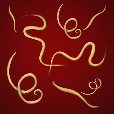 Helminth 'lerin renk arkaplanındaki yansıması. İnsan vücudundaki parazitler