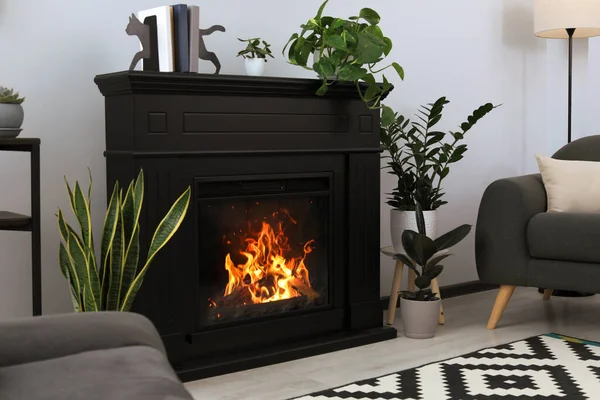 客厅里有时尚的黑色壁炉和绿色植物 室内设计 — 图库照片